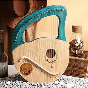 Amazon.co.jp: 弦楽器セット: 楽器・音響機器